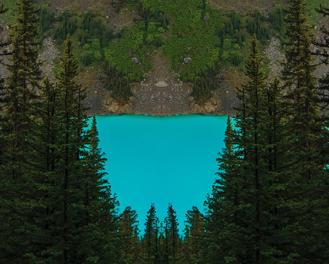 safe harbour counselling services